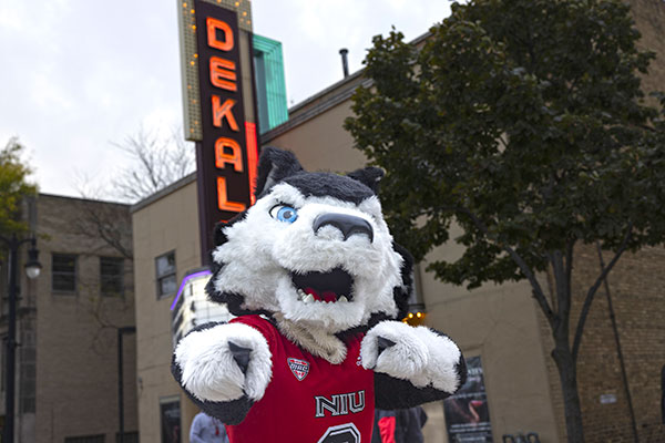 Victor E. Huskie mascot in downtown DeKalb